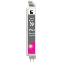Epson T060320 Ink Cartridge