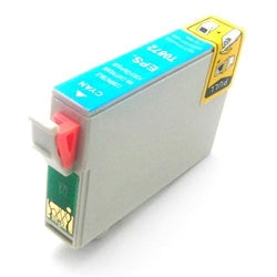 Epson T087220 Ink Cartridge