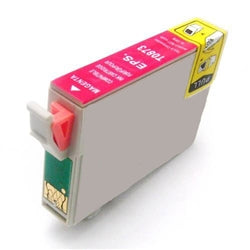 Epson T087320 Ink Cartridge
