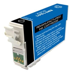 Epson T125120 Ink Cartridge